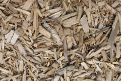 biomass boilers Pymore